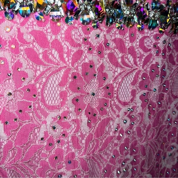 Vienna Prom Pink w/Crystals Vienna 1034 Size 0 Long Lace Prom Dress Pageant Gown - Picture 15 of 16